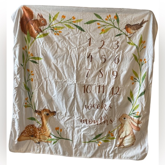 Baby Monthly Photo Blanket - Picture 1 of 7